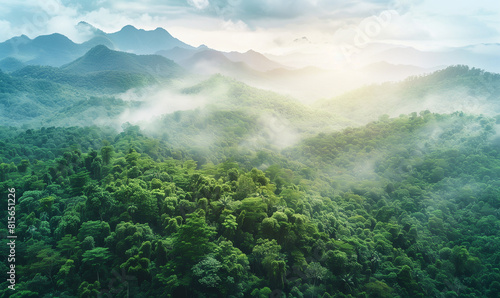 From a bird s eye view  you can see dense  green trees in the forest on the mountain slopes  which are a perfect example of harmonious coexistence between man and nature.