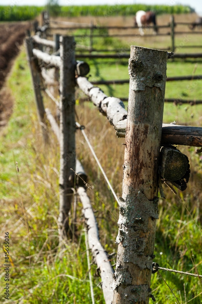 Rustic wooden fence running through a lush grassy field Rustic wooden fence running through a lush grassy field