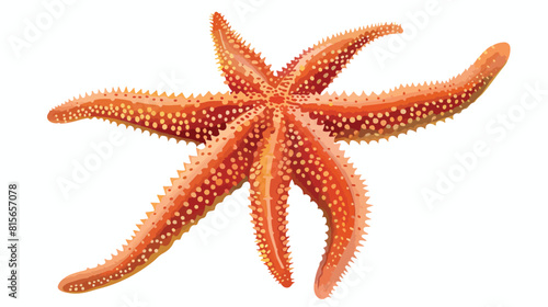 Sea star fish. Five-finger shaped marine starfish mol