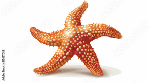 Sea star fish. Five-finger shaped marine starfish mol photo