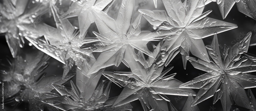 Ice crystals macro by refrigerator frost BW. copy space available Ice crystals macro by refrigerator frost BW. copy space available