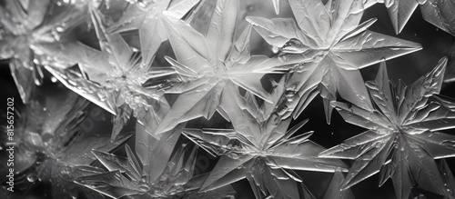Ice crystals macro by refrigerator frost BW. copy space available photo