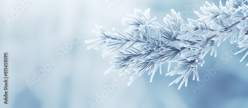 An exquisite close up of a fir tree branch adorned with delicate hoarfrost glistening under the enchanting combination of ice fog and snow in a peaceful winter forest This captivating image makes for