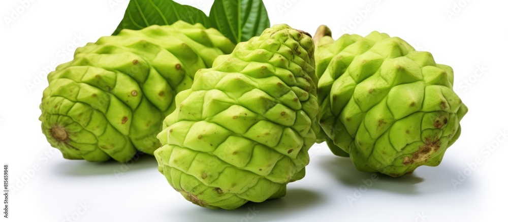 Fototapeta premium Exotic Fruit Noni on white background. copy space available