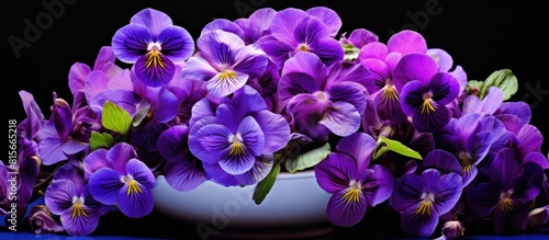 Bouquet of violet flowers or Viola Odorata in bowl. copy space available