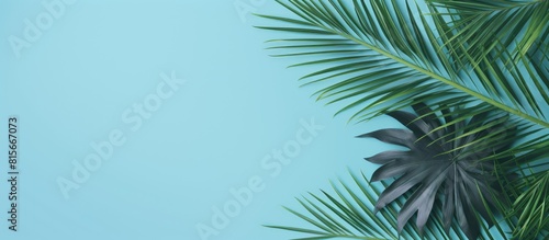 Minimal summer concept Top view green leaf on punchy pastel paper Creative flat lay with copy space Tropical palm leaves on blue background