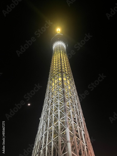 Tokyo Sky tree in the Night  photo