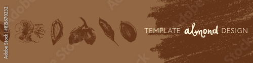 Almond tape for banner background or label template design. Organic almond seamless pattern. Garland almond nuts. Crayon drawings for almonds packaging or marzipan paste tag. Vector floral border.