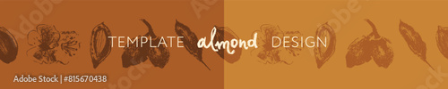 Almond tape for banner background or label template design. Organic almond seamless pattern. Garland almond nuts. Crayon drawings for almonds packaging or marzipan paste tag. Vector floral border.