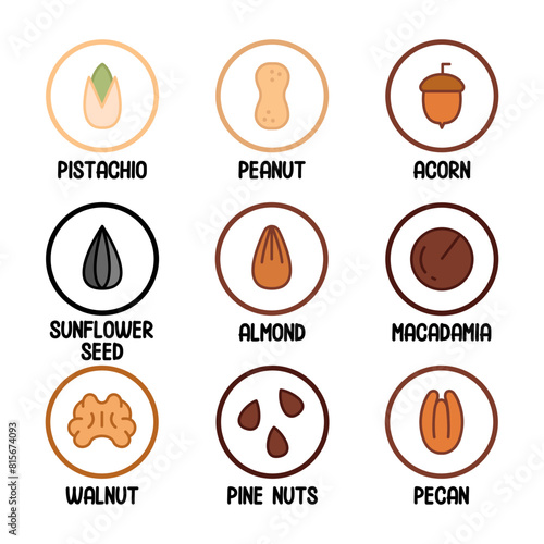 Nuts, seeds and beans vector objects set. Peanut, pistachio, walnut, almond, brazil nut, pine nuts, sunflower seeds, acorn, pecan, macadamia. Various Nuts with Names. Stickers