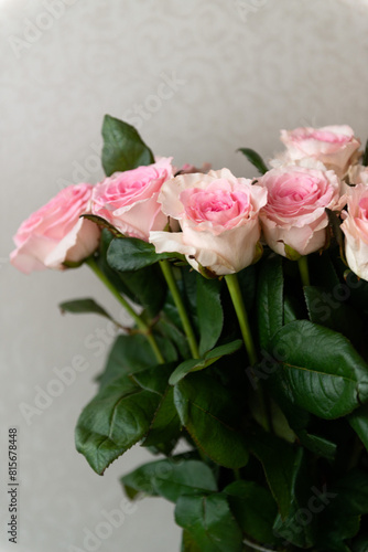 Beautiful colour pink roses bouquet