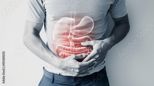 The digestive system is a long, twisting tube that starts at the mouth and goes through the oesophagus, stomach, small intestine, large intestine and ends at the anus photo