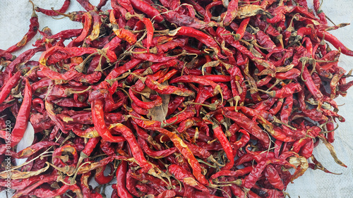 Dried large red chilies on a white base