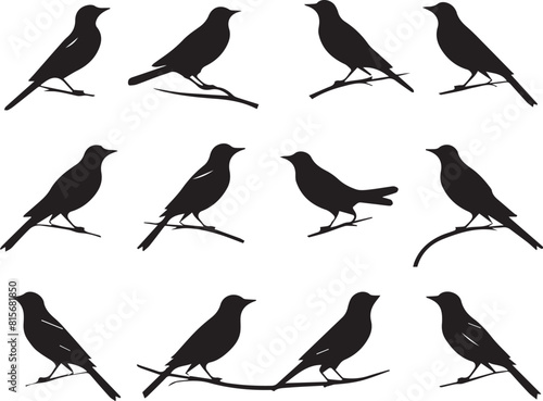 set of birds silhouettes