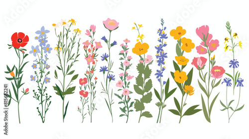 Vector flat illustration office colorful flowers icon.