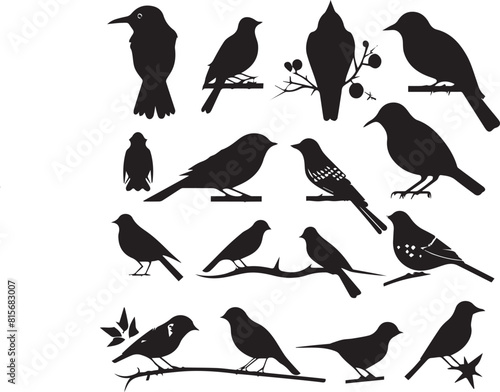 birds on a branch