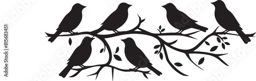 black and white silhouettes of birds