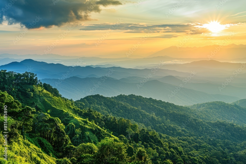 Sky Forest. Landscape of Doi Tung with Mountains and Forest under Setting Sun