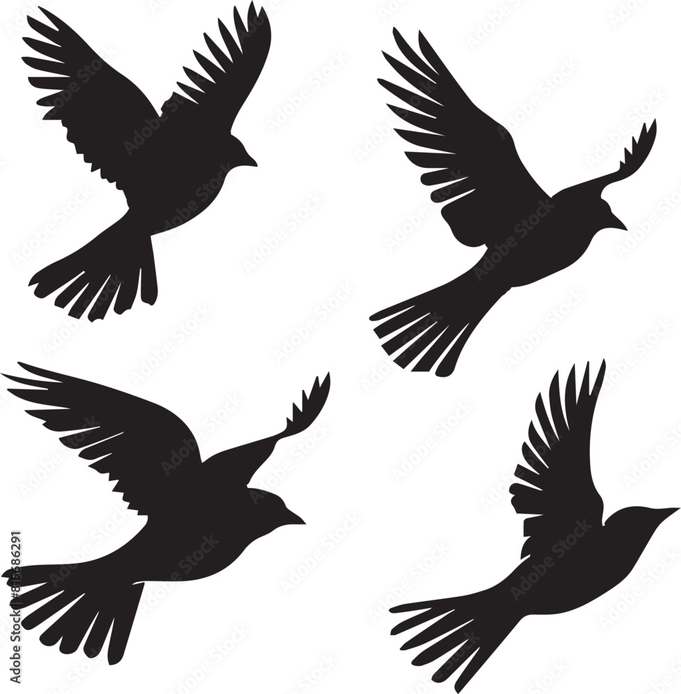 silhouettes of birds silhouettes of birds