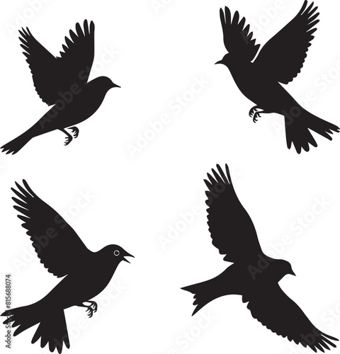 silhouettes of birds