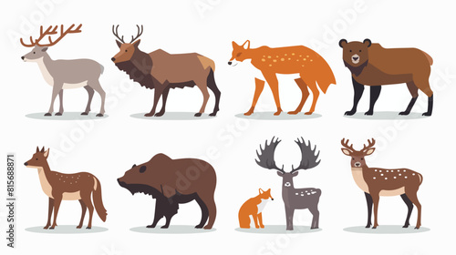 Wild animals Eurasian fauna Four. European wildlife s