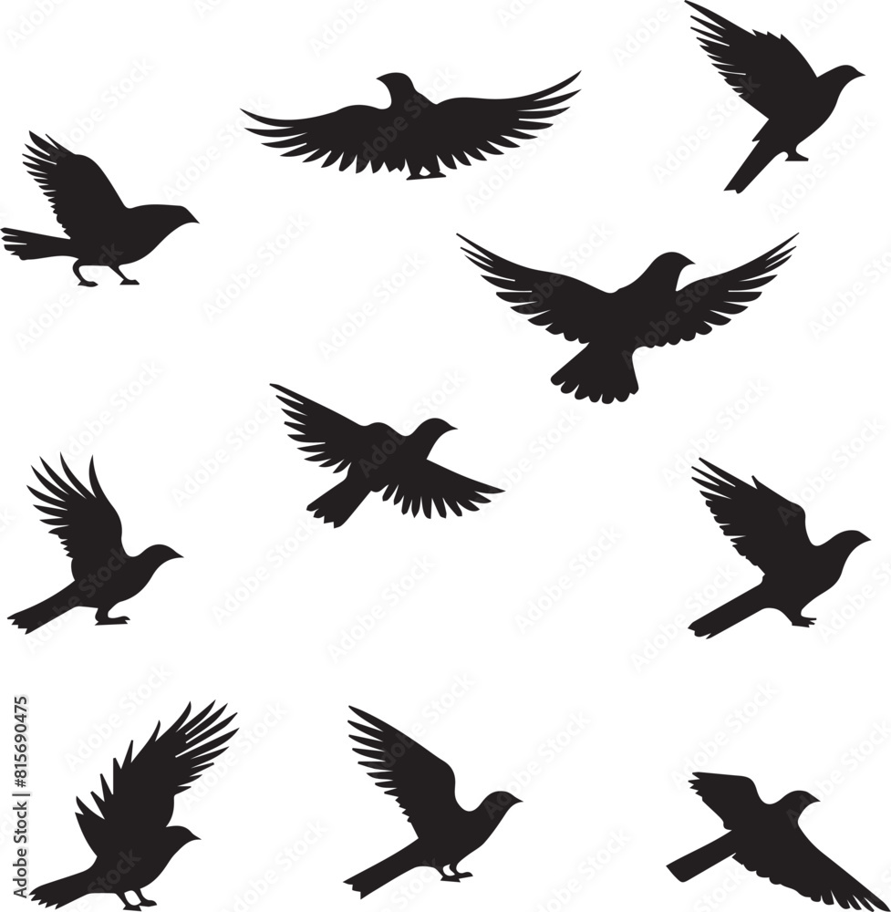 set of silhouettes of birds set of silhouettes of birds
