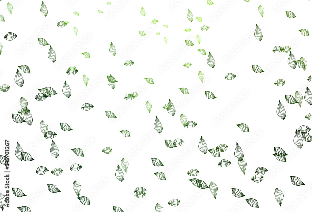Light Green vector doodle background. Light Green vector doodle background.