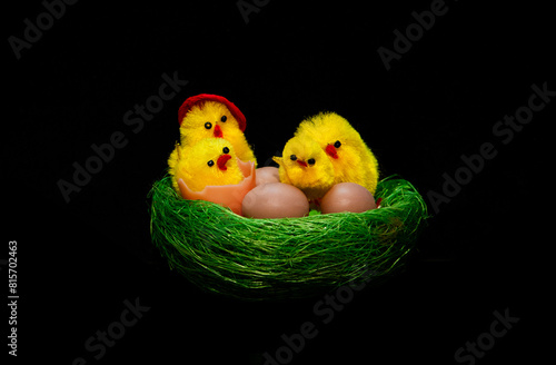 An ornamental Easter nest with eggs and chicks on a black background