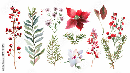 Fototapeta Naklejka Na Ścianę i Meble -  winter flowers, leaves, isolated on white background.generative Ai