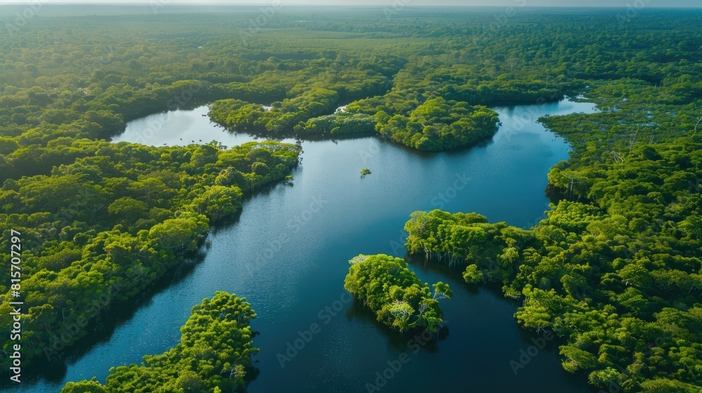 Exploring the intersections of ecology and global environmental protection through the lens of World Water Day with a bird s eye view of our natural surroundings and a focus on key ecologica
