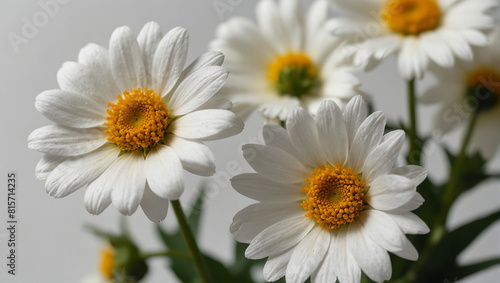 A clear glass vase on a wooden surface holds several white daisies with yellow centers and green stems and leaves.  