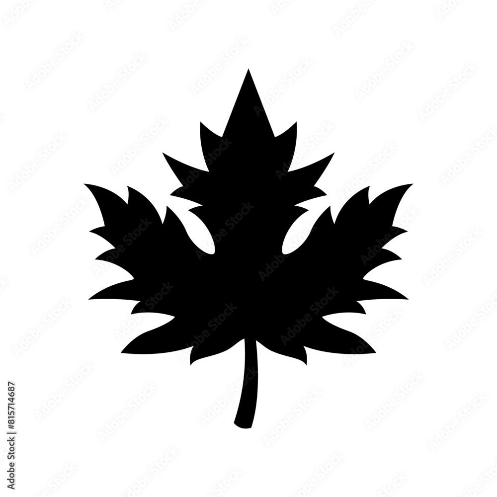 Maple leaf Silhouette Vector Art isolated on white background Maple leaf Silhouette Vector Art isolated on white background