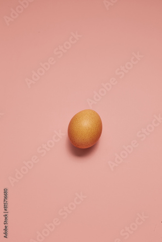 Close up of brown egg in line on plain pastel pink background. Minimal fashion concept , flatlay , top view.