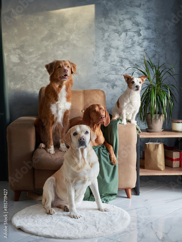 Quartet of dogs posing, a diverse canine gathering. A Labrador, Vizsla, Jack Russell, and a Nova Scotia Duck Tolling Retriever pose together, showcasing unity in a modern living space