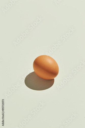 Close up of brown egg in line on plain white background. Minimal fashion concept , flatlay , top view.