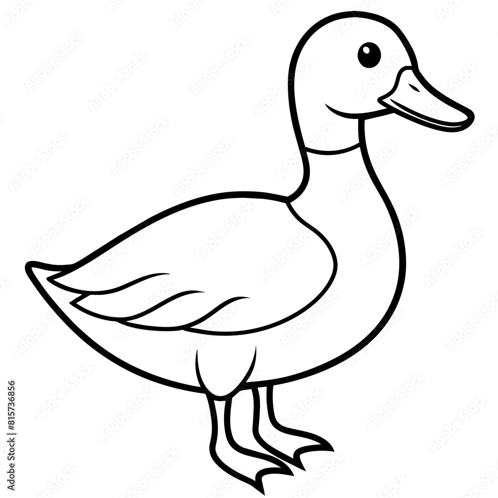 illustration of a duck illustration of a duck