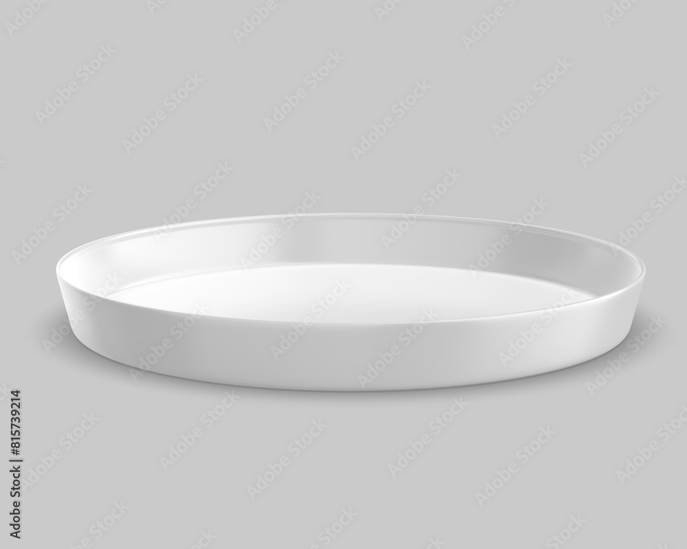 Food And Beer Tray and Bar Serving Tray For Branding, Blank template 3d illustration. Food And Beer Tray and Bar Serving Tray For Branding, Blank template 3d illustration.