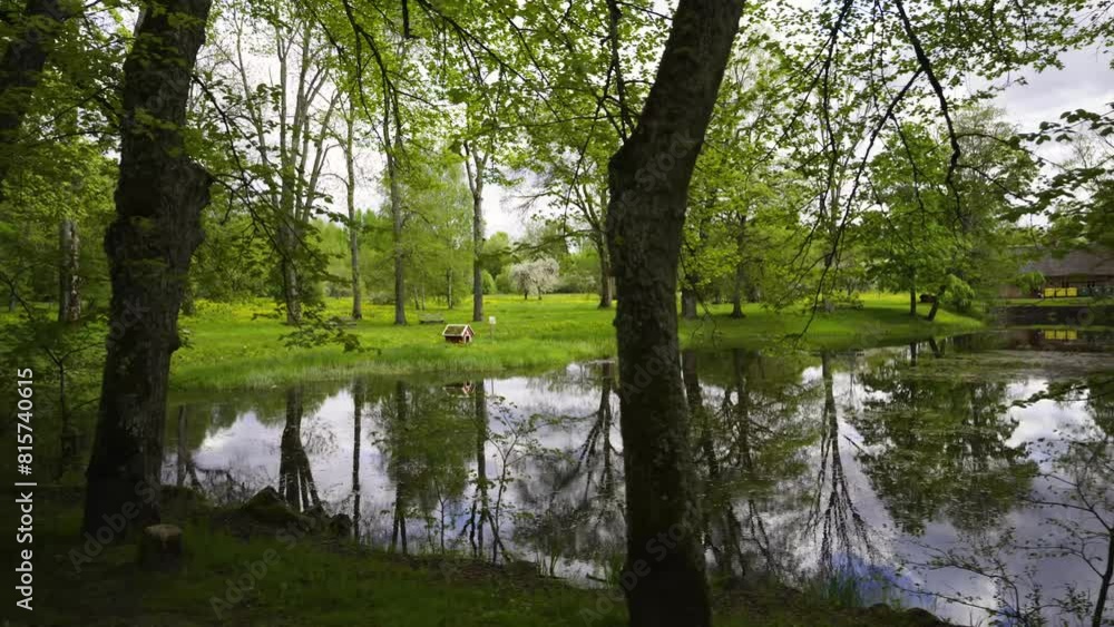 Trees reflected in a blue pond in spring. Small ripples on the surface of the water of a forest lake. Sigulda. Latvia