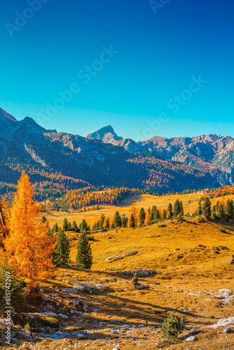 Cover page with magical hiking trail landscape at Mount Specie the national park Three Peaks, Tre Cime Drei Zinnen in Autumn colors at blue sky and sunny day, South Tyrol, Italy
