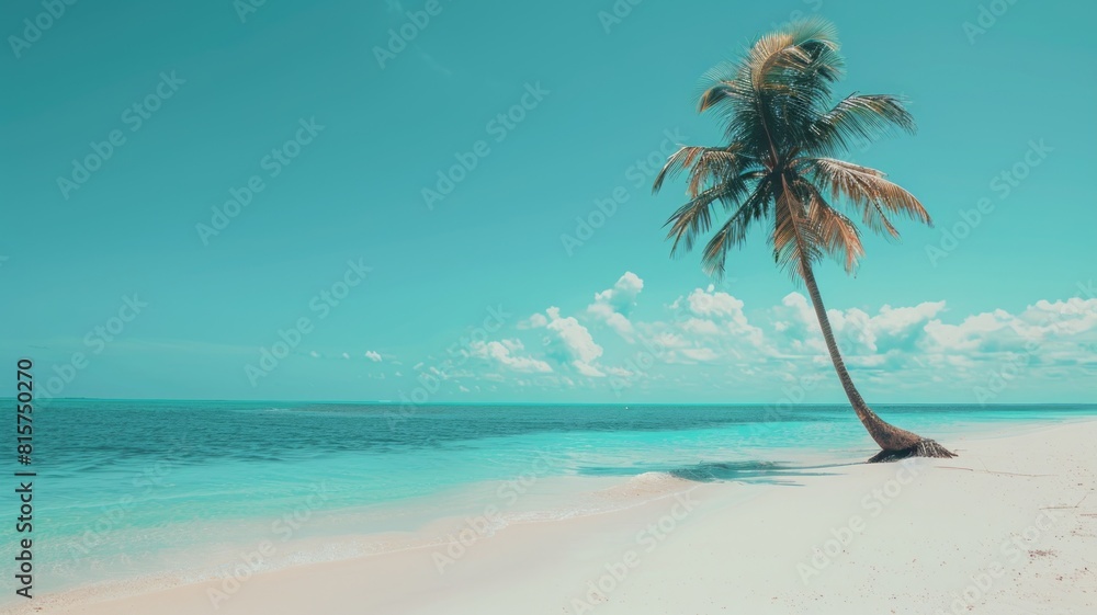 Landscape photo of tropical beach with a palm tree. Turquoise sea and clear sky. Exotic summer destination as amazing beautiful panorama wallpaper. Landscape photo of tropical beach with a palm tree. Turquoise sea and clear sky. Exotic summer destination as amazing beautiful panorama wallpaper.