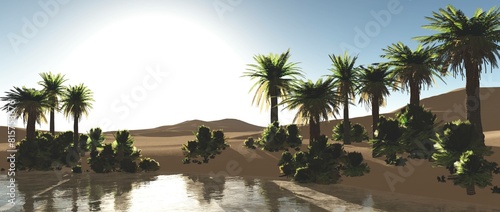 Oasis in the desert sand. Palm trees and a lake. 3d rendering.
