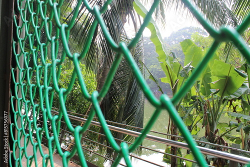 Lush Tropical Greenhouse Sanctuary

