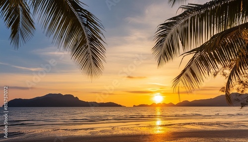 silhouette of palm tree leaves beautiful sunset on the tropical sea beach in langkawi malaysia © Deanne