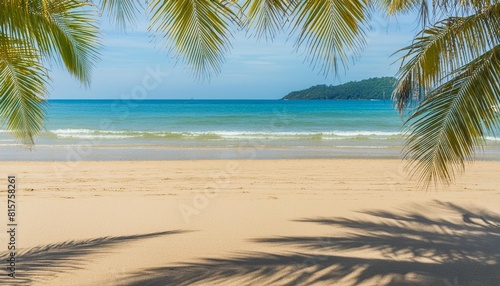 palm leaf shadows on tropical sandy beach abstract background