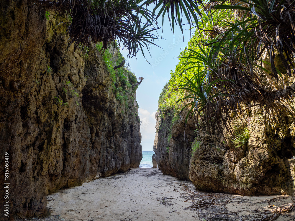 Fototapeta premium 沖縄県本部町備瀬のワルミ