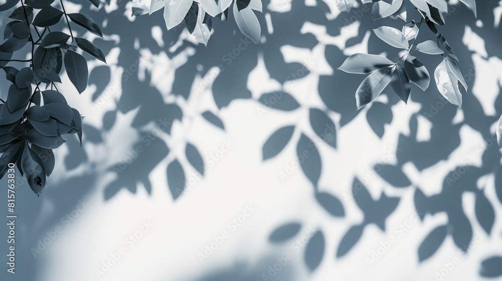 Shadows from leaves on white background in the style of abstract nature. Shadows from leaves on white background in the style of abstract nature.