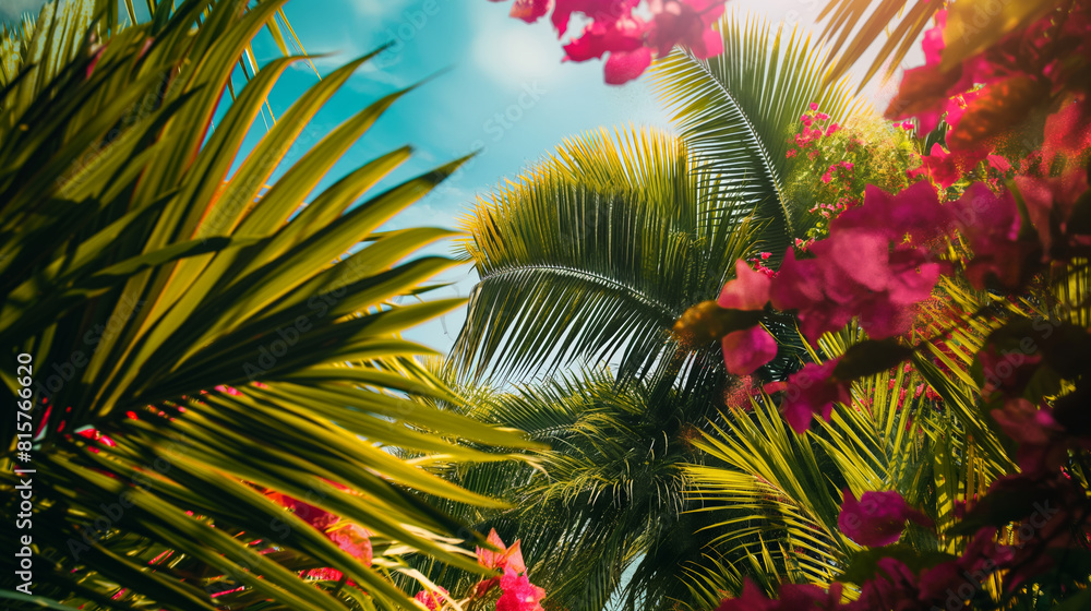 Copy space exotic background with palm leaves, tropical flowers and blue sky in the summer time. Summer vacation colorful tropical background, bright colors. Copy space exotic background with palm leaves, tropical flowers and blue sky in the summer time. Summer vacation colorful tropical background, bright colors.