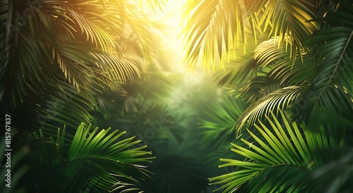 Beautiful palm leaves in a tropical forest with sunlight  Summer background 