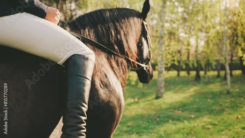 happy woman rides a horse back rear view, unrecognizable person enjoy walking nature sun light green grass park tree sunset. Fantasy Girl noble lady jockey sits horseback hand hold reins pet animal 4k