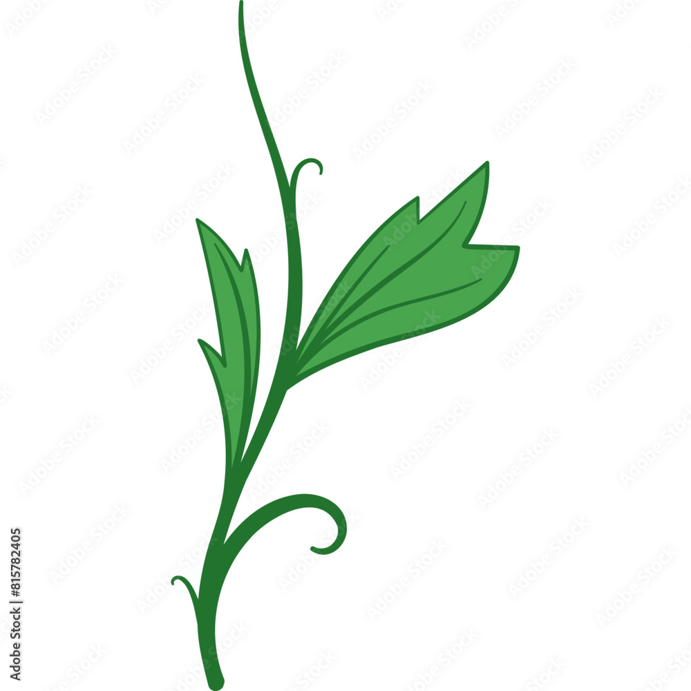 green plant isolated on white green plant isolated on white